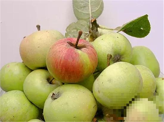 国光苹果的营养价值 治疗便秘