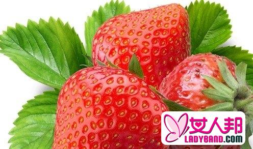 夏日防暑最佳吃 草莓帮你降肝火!