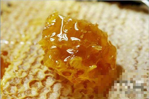 >土蜂蜜可以做面膜吗 土蜂蜜怎么做面膜