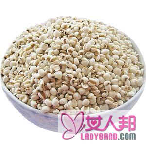 【薏米仁的做法】红豆薏米仁粥的做法_红豆薏米仁粥的营养价值