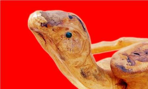 生肖蛇最倒霉的年龄 2019年属蛇的贵人 生肖蛇最倒霉的年龄
