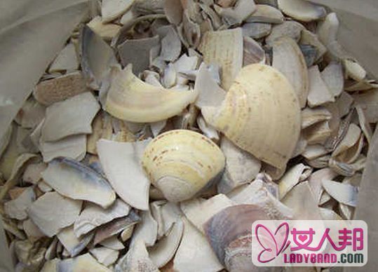 >蛤壳是什么 中药蛤壳的功效与作用
