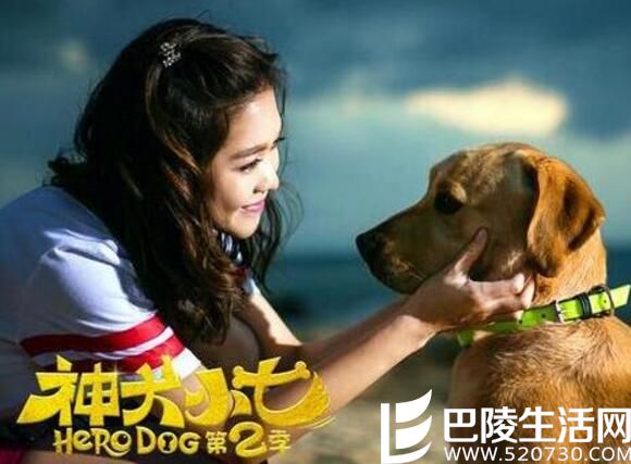 电视剧神犬小七片尾曲第二季 《天使在我身边》正式全网发行