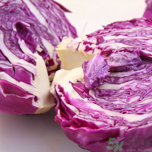紫甘蓝和包菜有什么区别？紫甘蓝是包菜吗？