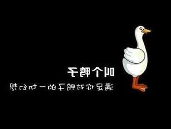 海尔刘春华 刘春华解读“叫个鸭子”的成功之道