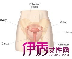 >患有尖锐湿疣主要有哪些症状表现 尖锐湿疣并发症有哪些