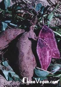 紫薯的营养价值与食用功效