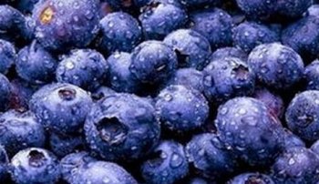 蓝莓冰酒的功效与作用