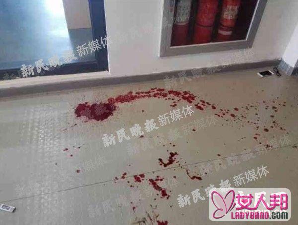 上海学生持刀伤人 知情者:伤人者或为2014级商船学院学生