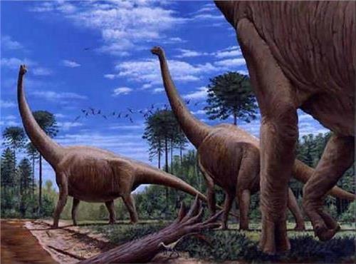 >科学家计算出最重的恐龙是阿根廷龙