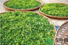 绿茶的营养价值 绿茶的功效与作用