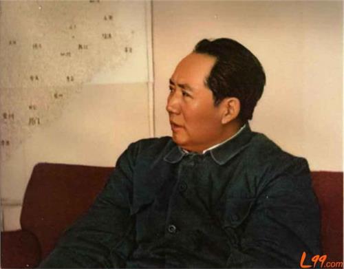 红军顾作霖 1932年毛泽东因被任弼时夺军权而离开红军?