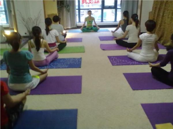 >杨金海老年瑜伽 中老年瑜伽队招募成员免费体验一周