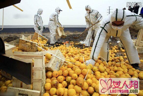 天津销毁进口水果 20余吨柠檬鲜橙均被烧成灰