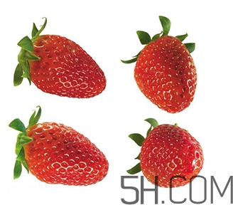 >草莓都有哪些热门品种？草莓怎么放不容易坏？