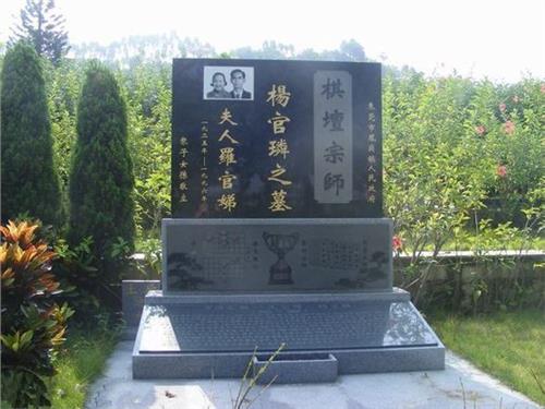 杨官璘墓碑象棋残局 象棋宗师杨官璘墓碑上的残局 留给后人破解