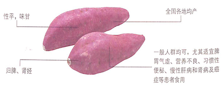 >红薯的功效作用能抗衰老,防止动脉硬化