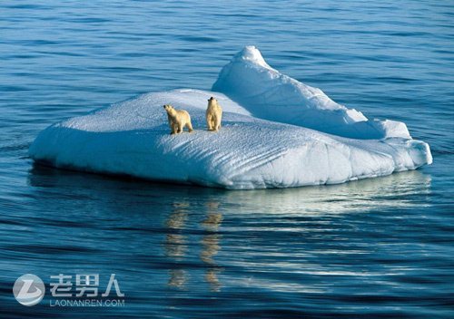 >全球气候变化导致北极海水无法结冰
