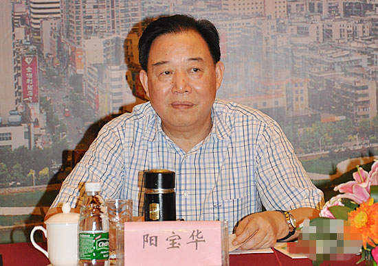 >阳宝华判决书 湖南政协原副主席阳宝华被判11年