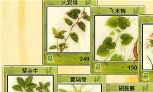 >本草纲目补肾配方 本草纲目补肾壮阳药方