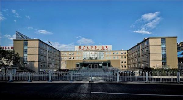 >宋卫东北大医院 北京大学第一医院