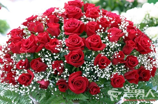 情人节打算送玫瑰 但是颜色数量的寓意你搞清楚了吗