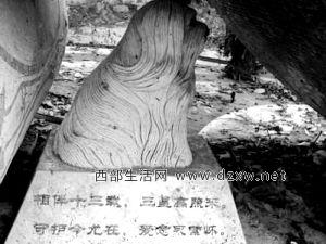 南京现500万狗墓 官方回应是雕像