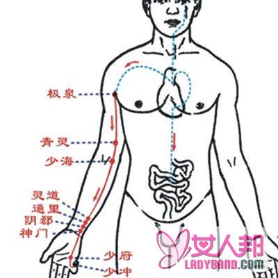 >肩膀穴位图展示 小编教你一秒认清肩膀的穴位