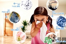 怎样净化室内空气？如何净化家里的空气？