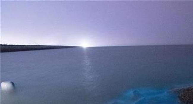 马尔代夫荧光海滩是哪个岛