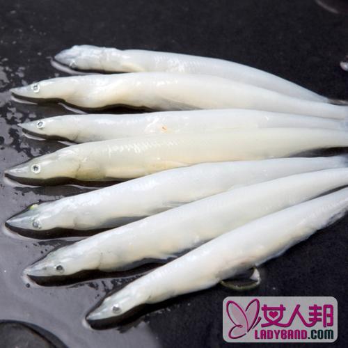 >银鱼的功效与作用及食用方法_银鱼的营养价值