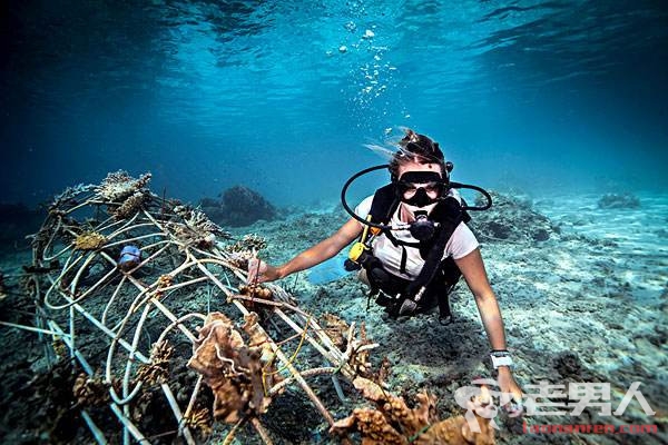 徐海燕死因揭秘 失踪潜水员徐海燕资料背景及私房照曝光