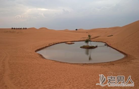 中卫环保局长等3人因沙漠排污被停职