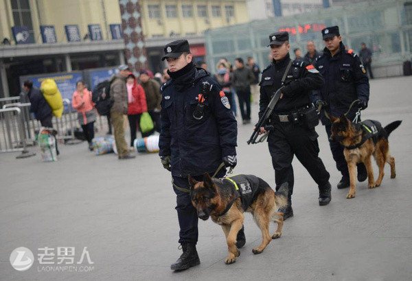 >火车站警犬巡逻 排查危险物品保障乘客安全