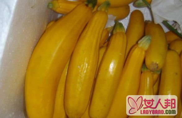 香蕉瓜是什么 香蕉瓜的功效与作用