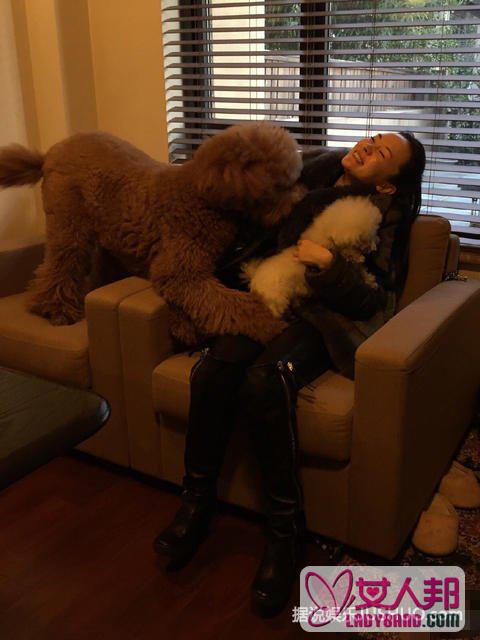 霍思燕被宠物狗扑倒在沙发 喜欢宠物的女生运气不会太差
