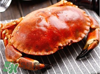 面包蟹什么时候最肥？面包蟹几月份最肥