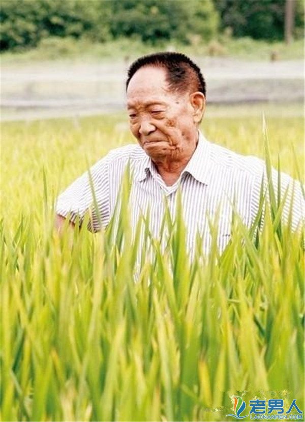 十个关于袁隆平的故事 他是中国最富有的赤贫者