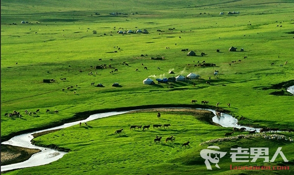 内蒙古最值得去的九大草原 一起去策马奔腾