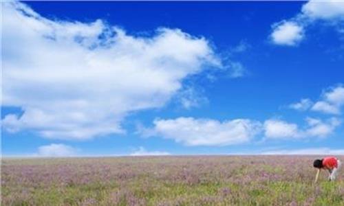 新疆空中草原 世界上著名的空中草原——新疆那拉提草原