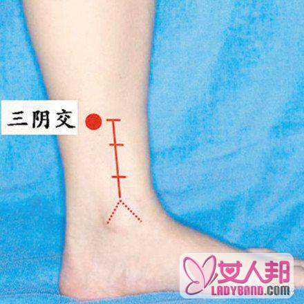 女性腿部穴位图 常按这4个穴位改善不完美腿型