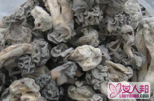 >新疆巴楚蘑菇图片 新疆巴楚蘑菇怎么吃