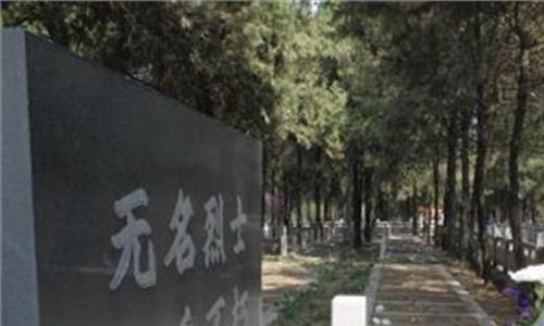 解放济南战役电影 济南解放70周年纪念活动在济南战役纪念馆举行