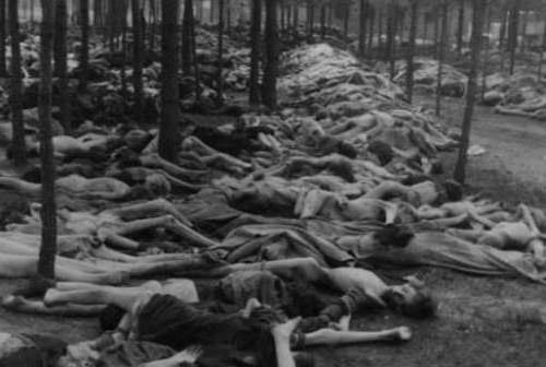>19岁纳粹集中营里的少女遇害留日记:永远不要战争