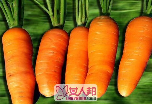 胡萝卜的食疗功效与用法