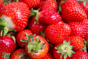 新鲜草莓怎么保鲜？新鲜草莓如何存放更久？