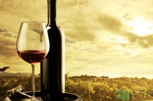 葡萄酒可以用塑料瓶装吗？自酿葡萄酒用什么装比较好？