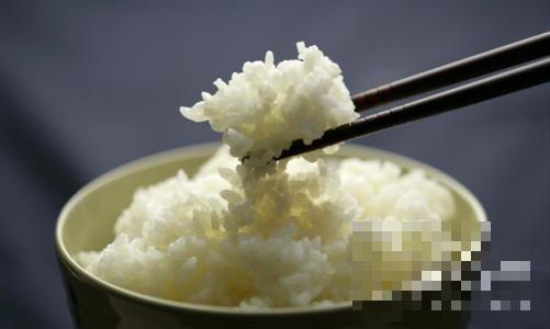 >面条和米饭哪个容易胖 吃面条容易长胖吗