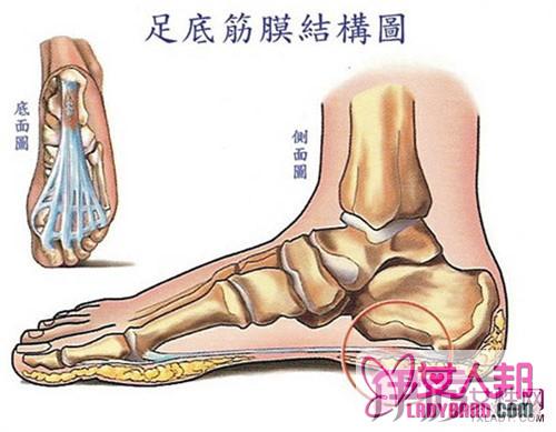 >后脚跟痛是什么原因 揭传统中医对足跟痛之症的治疗之法