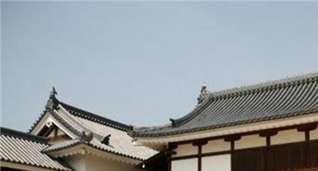 【日本皇宫开放时间】日本皇宫对外开放大批民众前来赏樱(组图)